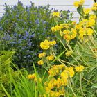 Passer du bleu du mardi au jaune du mercredi