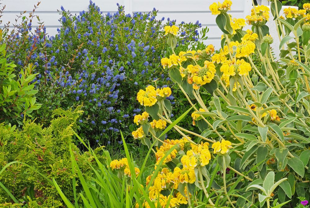 Passer du bleu du mardi au jaune du mercredi