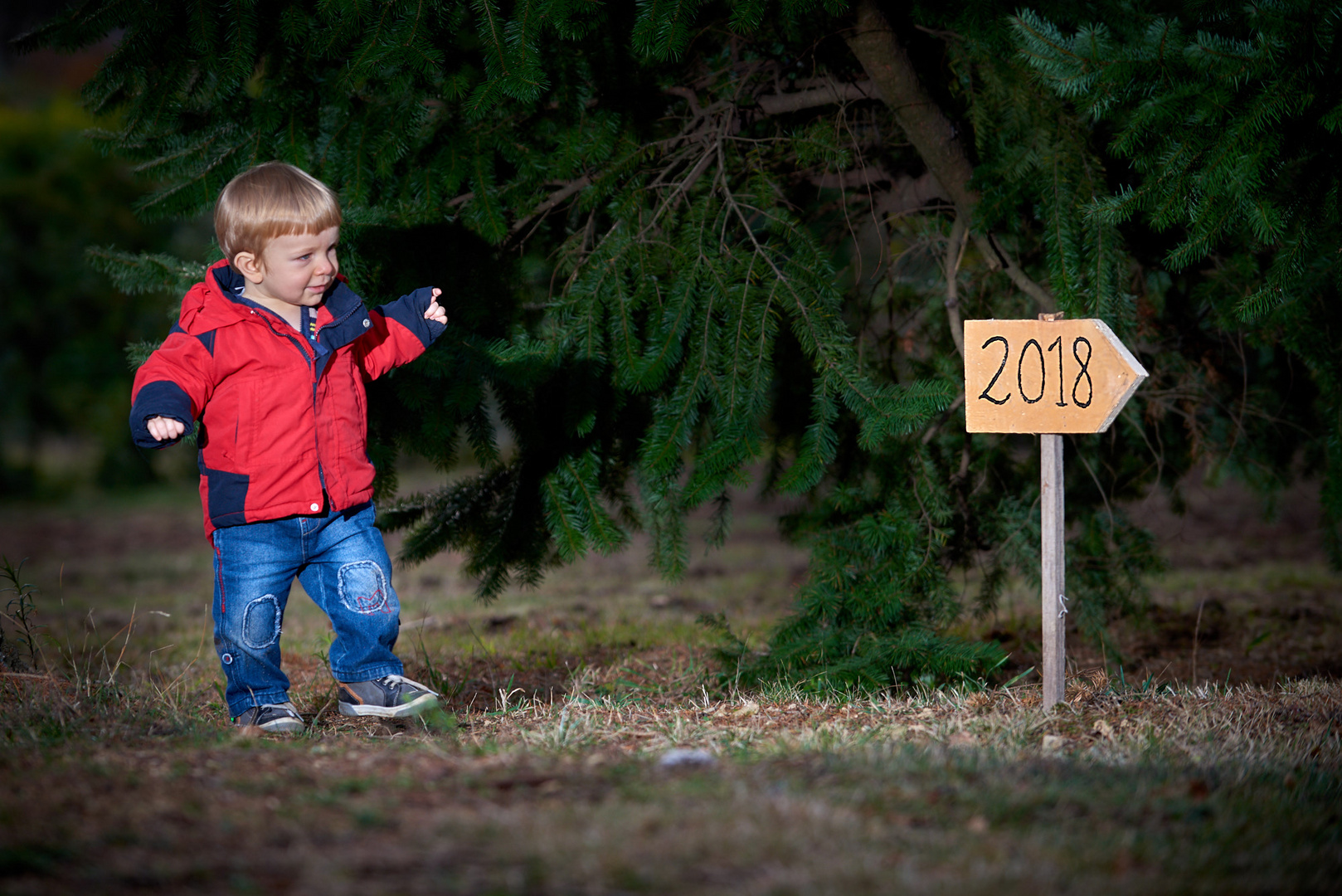 Passer en 2018