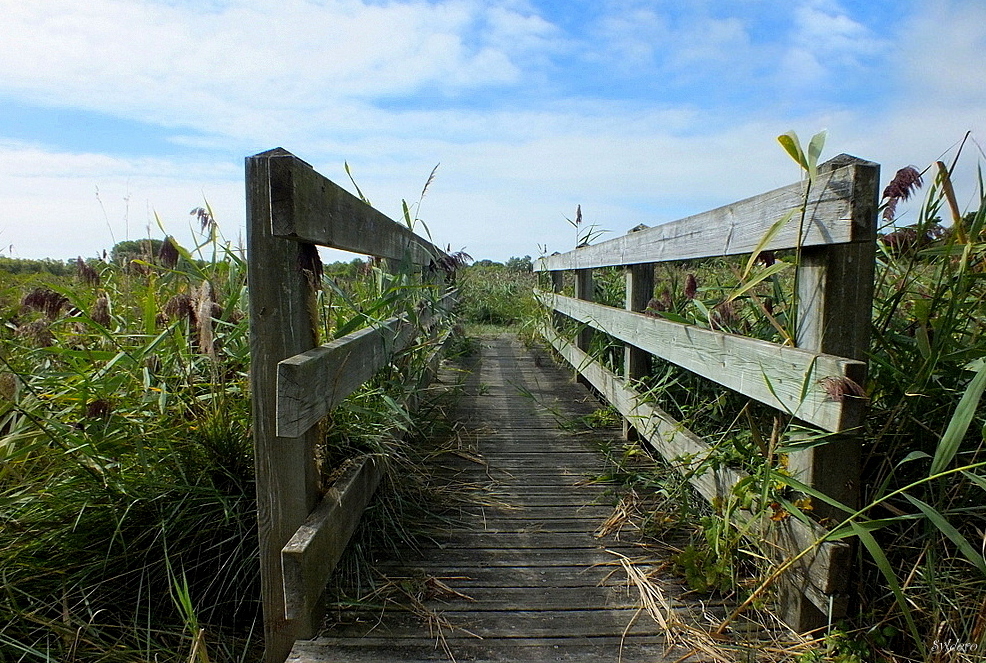 Passerelle