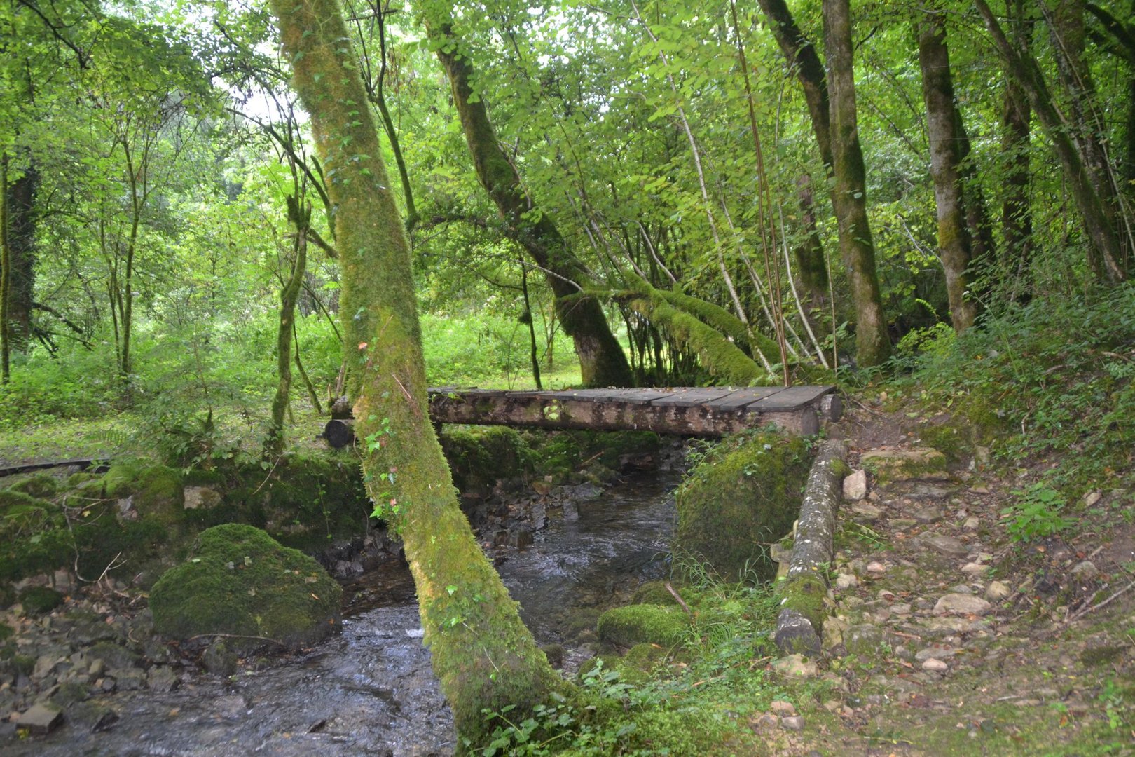 Passerelle