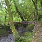 Passerelle