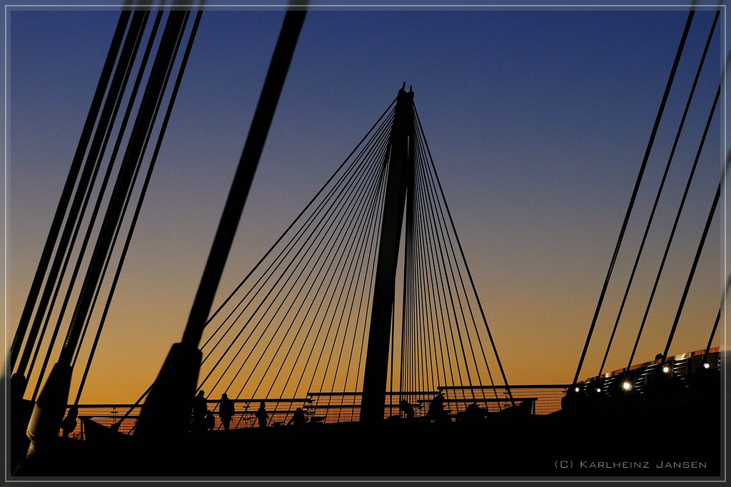 Passerelle des deux Rives (2)