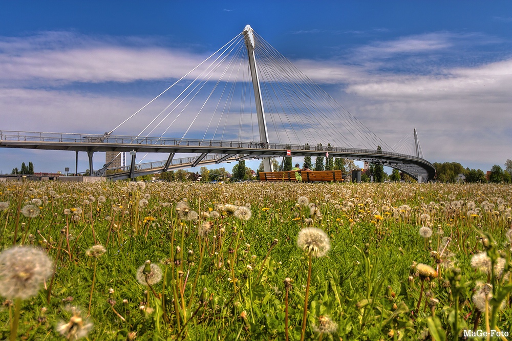 Passerelle des deux Rives