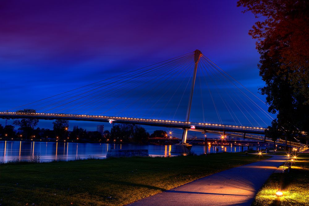 Passerelle des deux Rives