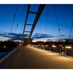 Passerelle des Trois Pays zur blauen Stunde