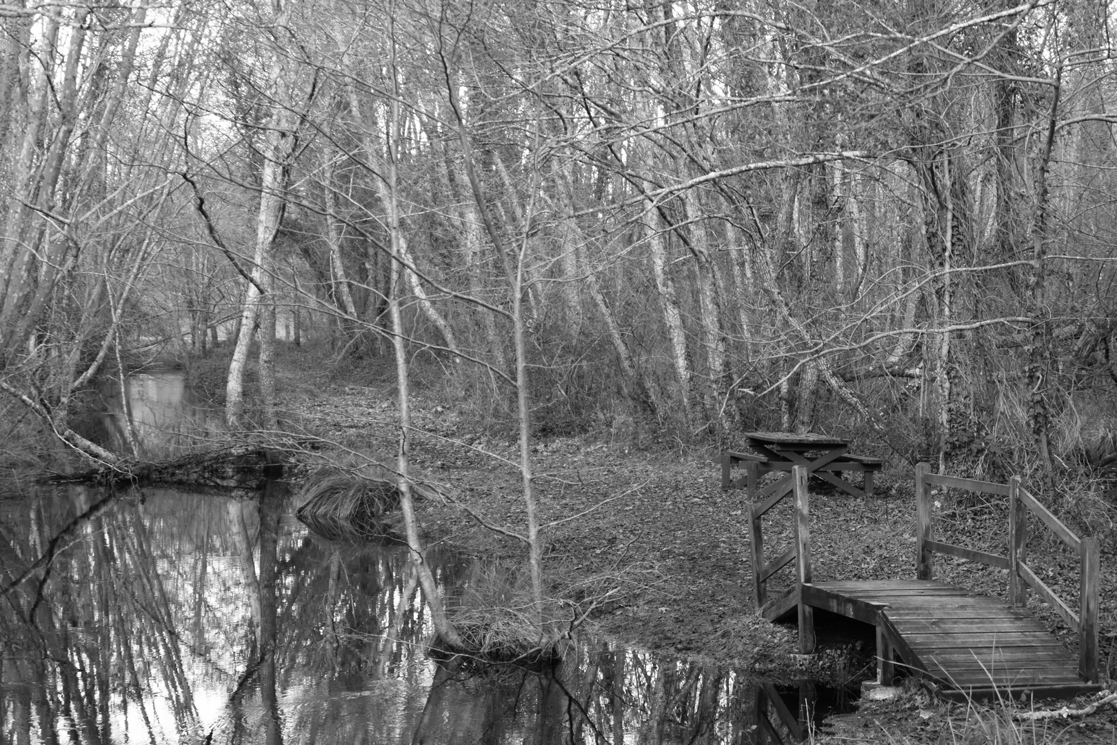 Passerelle en bois