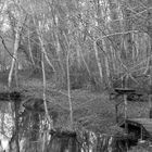 Passerelle en bois