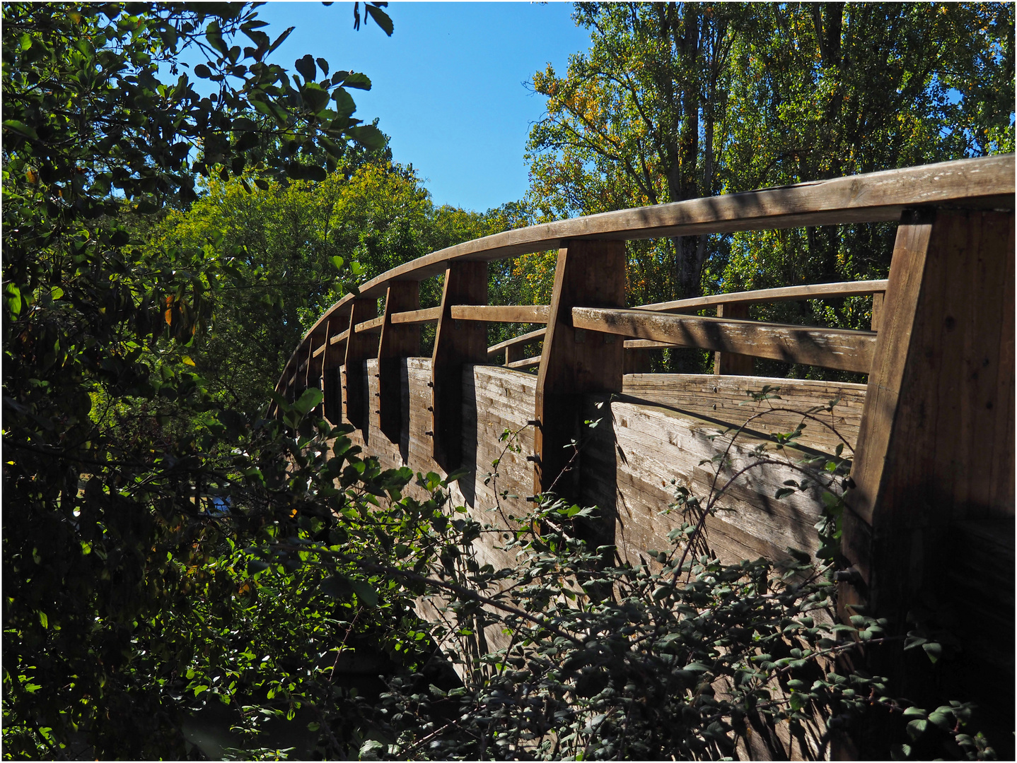 Passerelle sur la Baïse