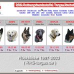 Paßfotos von Hunden, nicht einfach aber diiie!  lehrreiche Erfahrung.