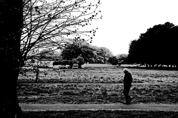 Passi di riflessione