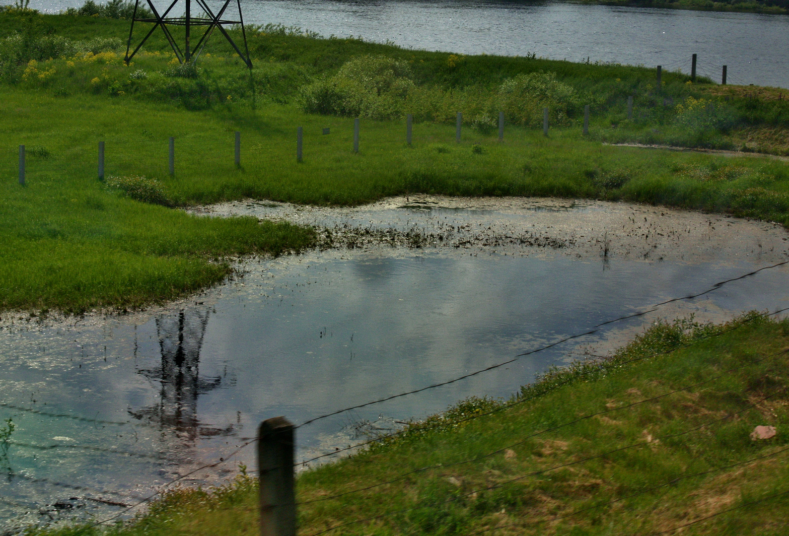 passing by my train window... Landscapes of Belarus)