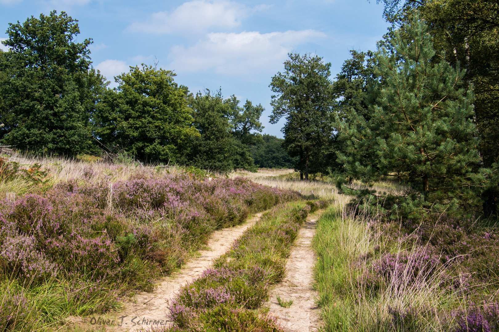 passing de meinweg