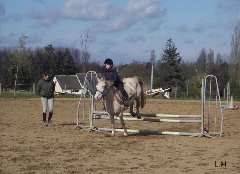 Passion, équitation, compétition...