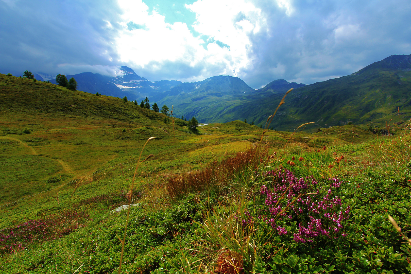 Passo del Sempione 18.08.2013