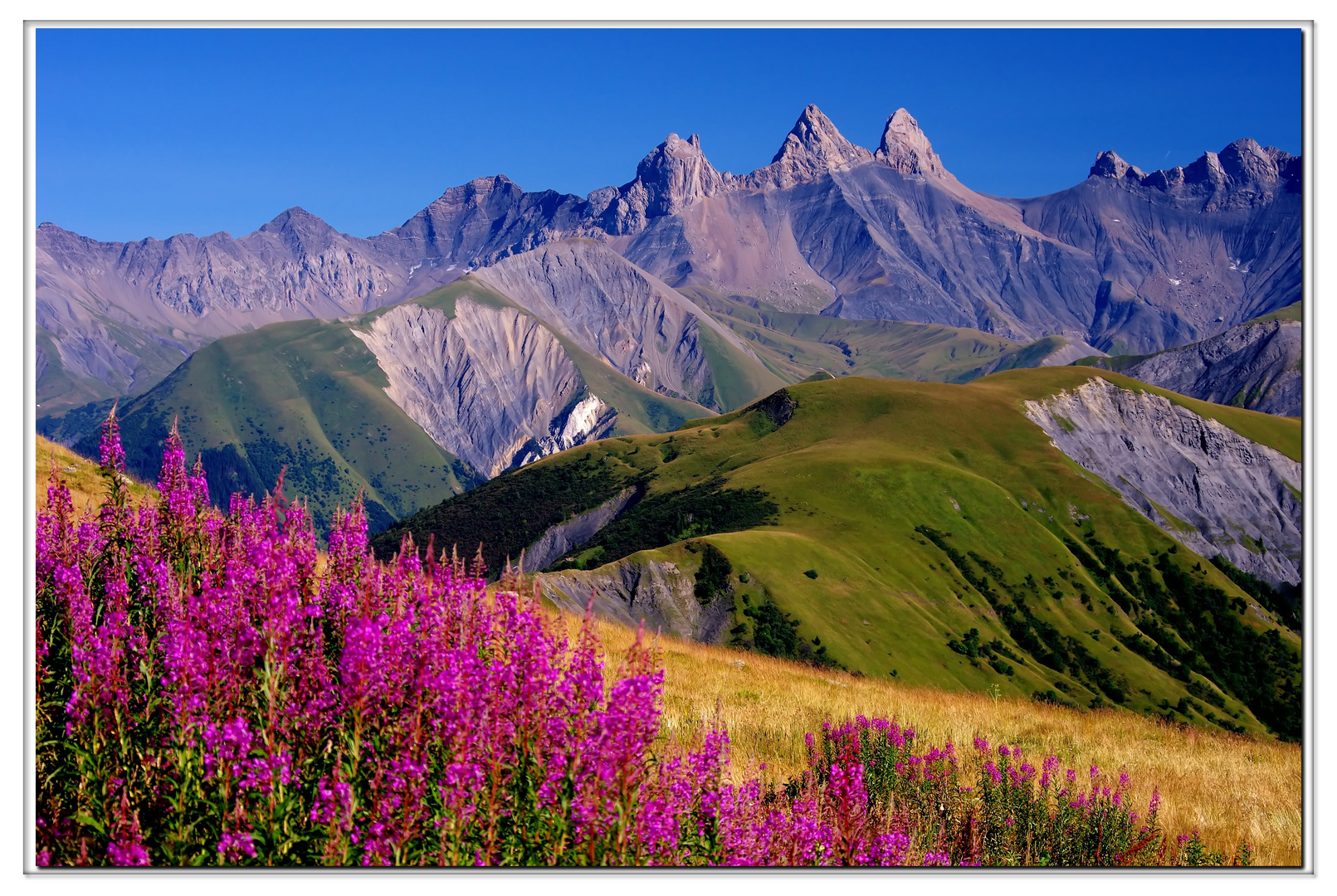 Passo della croce di ferro, savoia 2