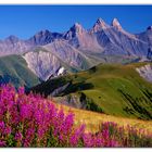 Passo della croce di ferro, savoia 2