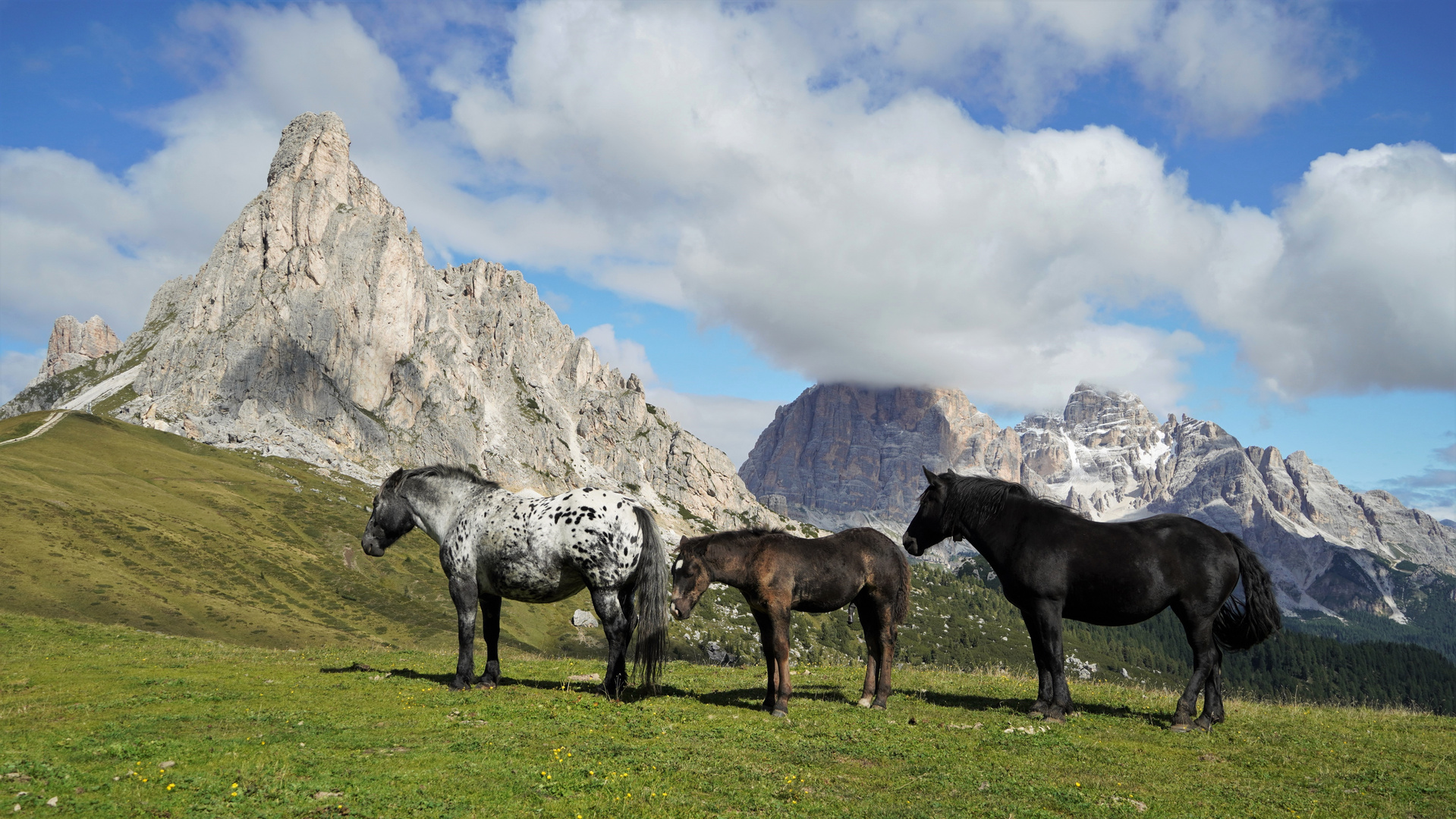 Passo Giau