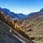 Passo Pellegrino