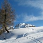 PASSO PIAN DELLE FUGASSE