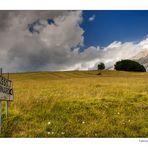 Passo San Leonardo #2