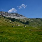 Passo Stelvio