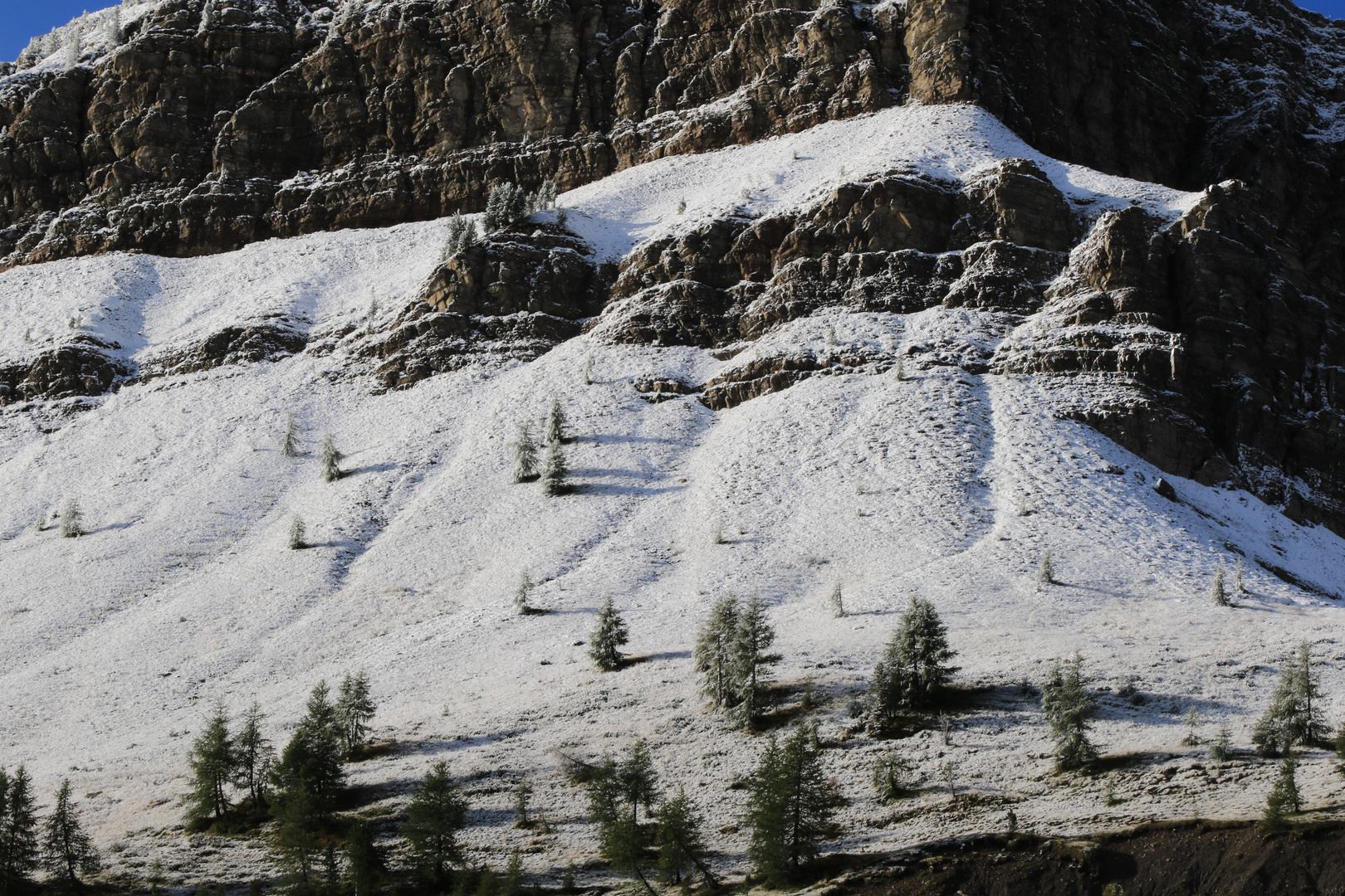 Passo Valles  3 settembre 2017