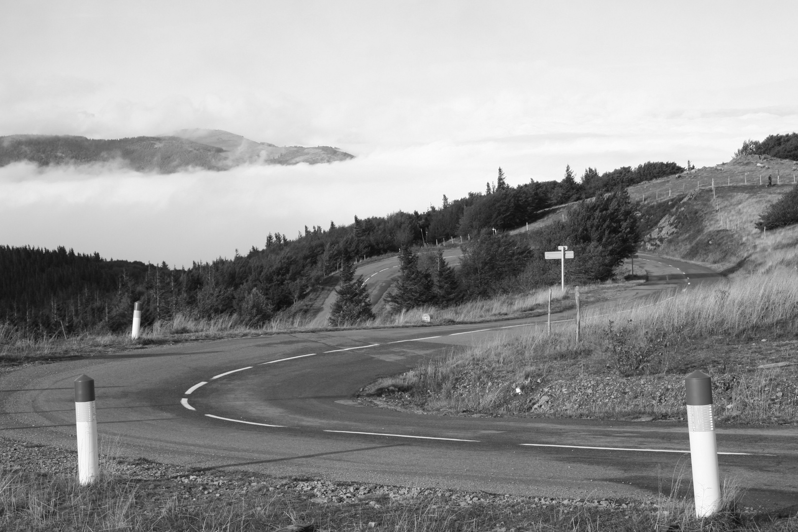 Passstraße zum Le Grand Ballon