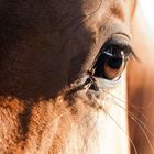 Passt auf! - Ich behalte euch im Auge!