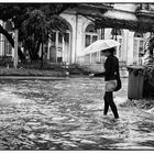 (passt gerade zum hiesigen Wetter) cuando llueve en el caribe...(1)