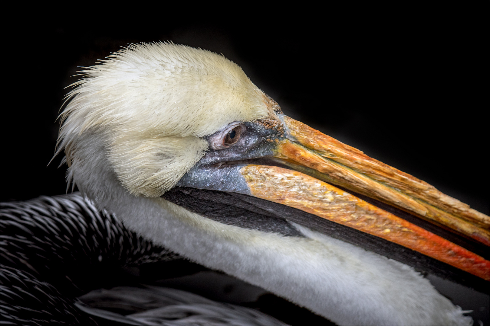 Passt nicht Passt nicht