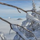 Passwang Schneeschuhtour vom 12.Dez.2020 mit Blick Richtung Schweizer  Alpen