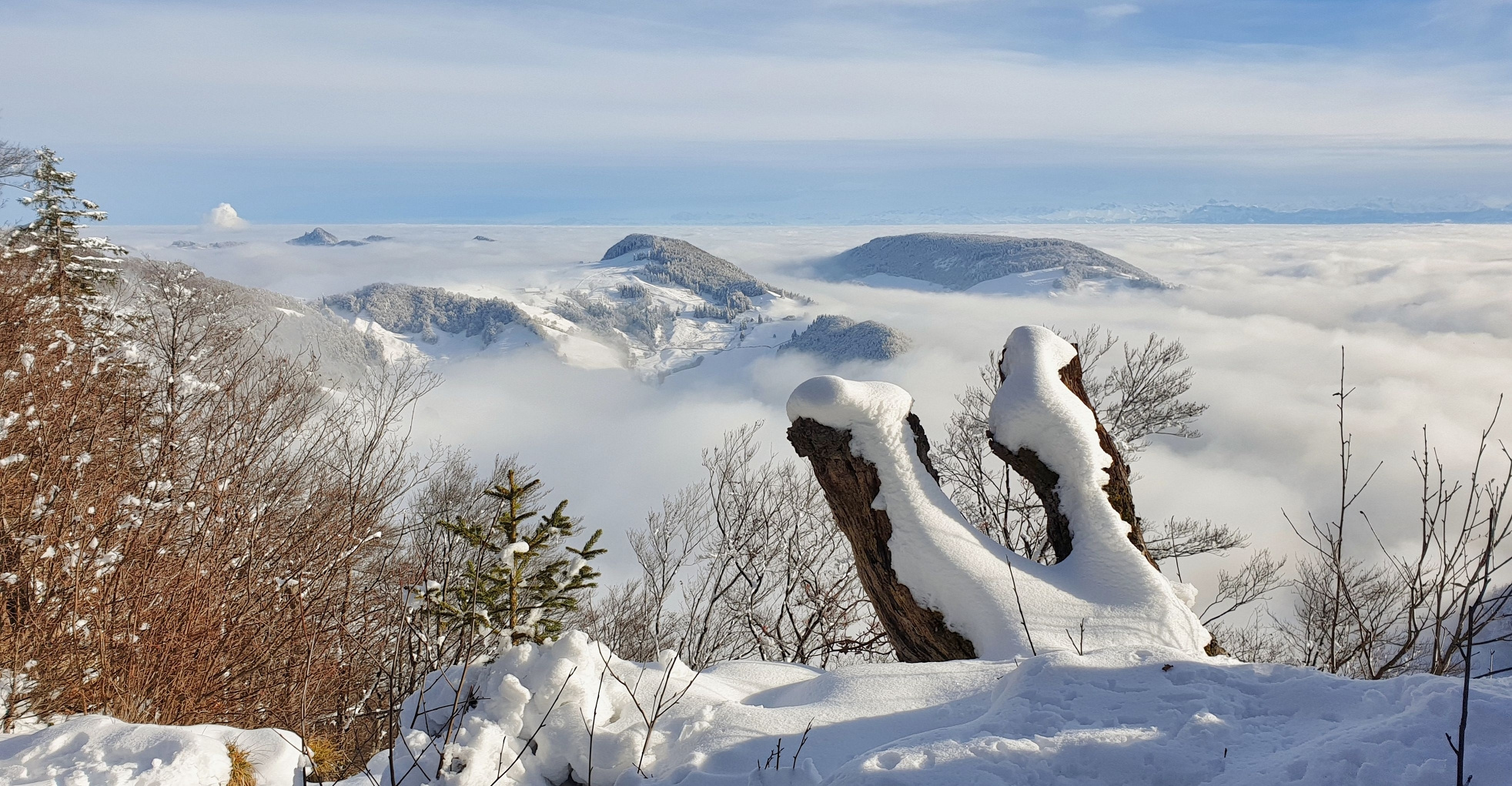 Passwang Schneeschuhtour vom 12.Dez.2020 mit Blick Richtung Schweizer Alpen 2