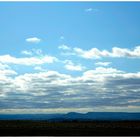 Pastando bajo un mar de nubes