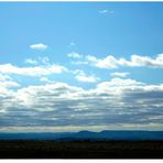 Pastando bajo un mar de nubes