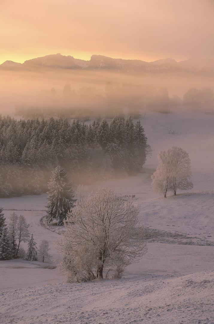 Pastel coloured morning