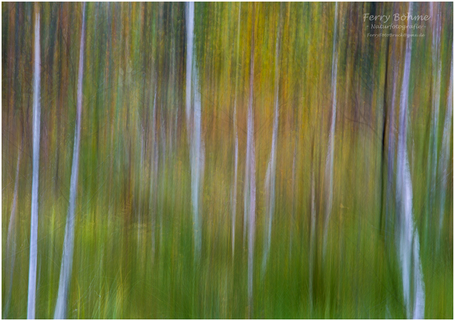 Pastell - Herbst im Moor