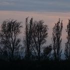 Pastellfarben im Herbst