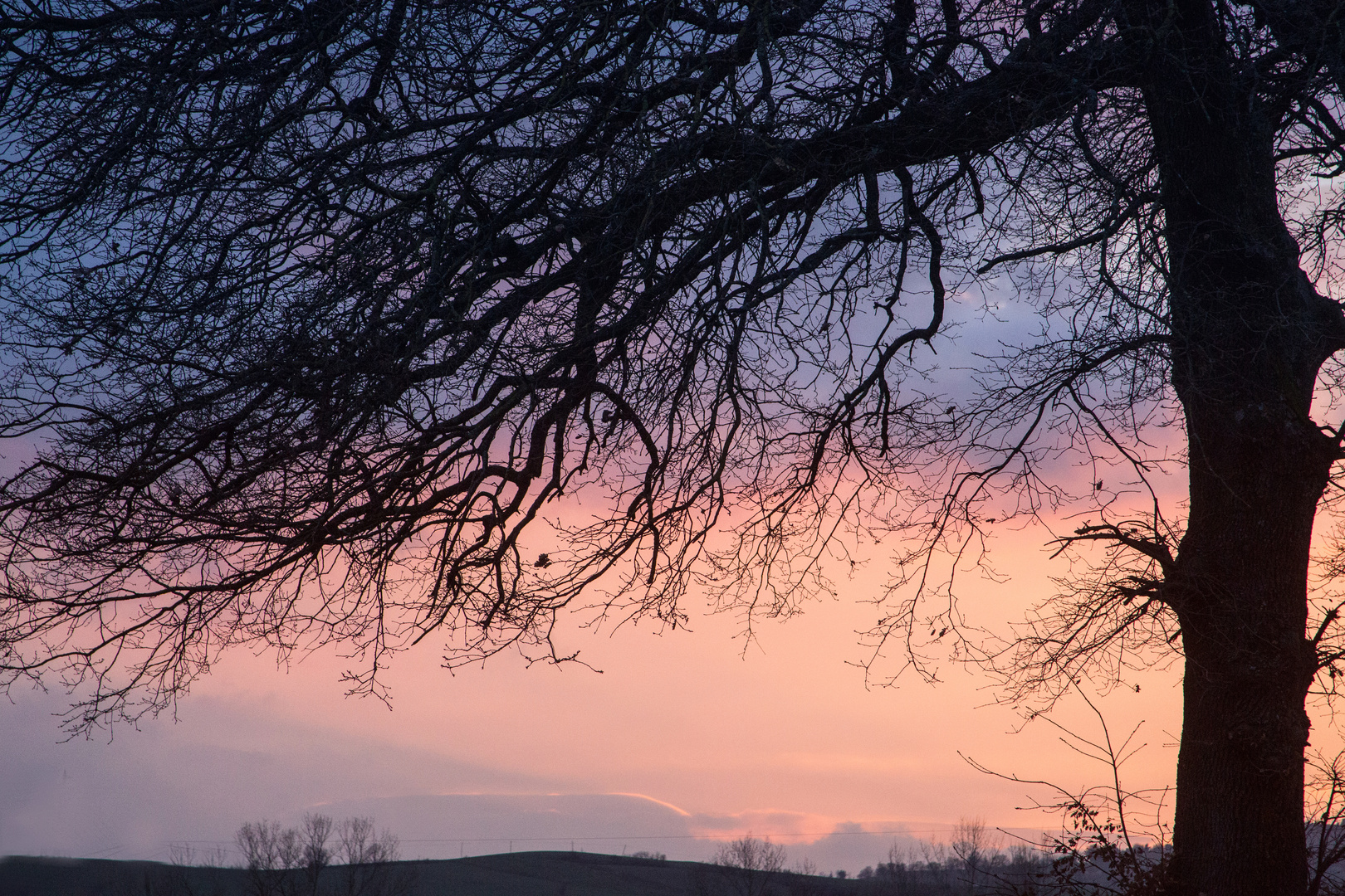 Pastellfarbenhimmel