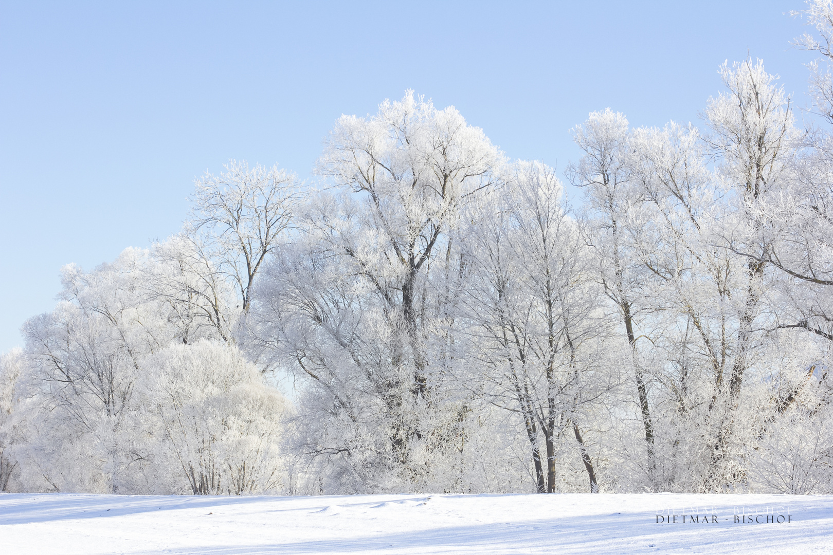 Pastellwinter