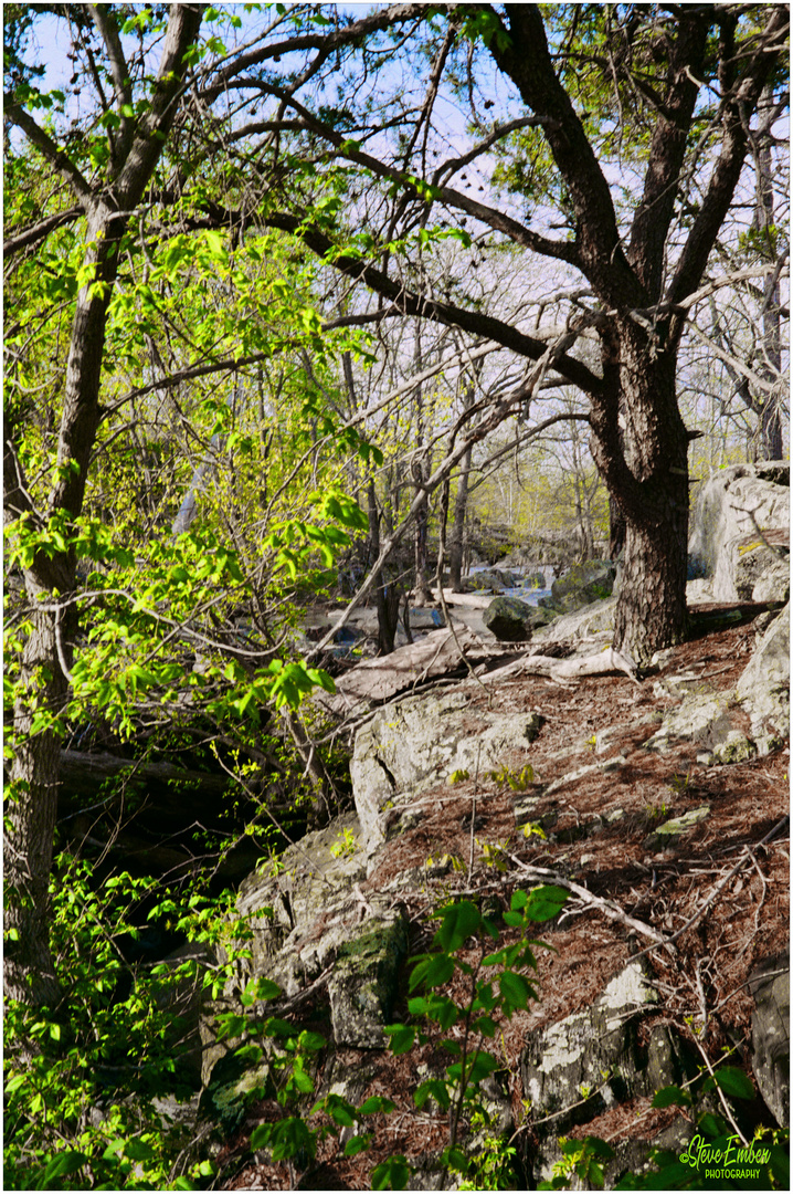 Pastels of Spring along the Great Falls Overlook Trail 