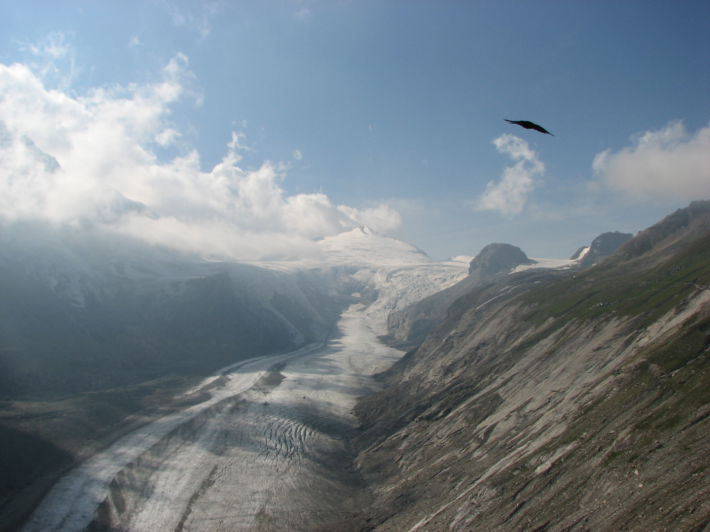 Pasterze im Sommer 2008