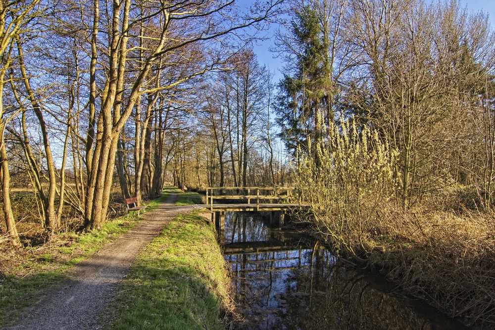 Pastor Drägert Weg II