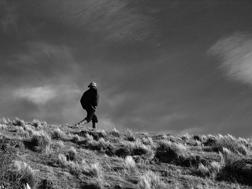 pastor en Patagonia