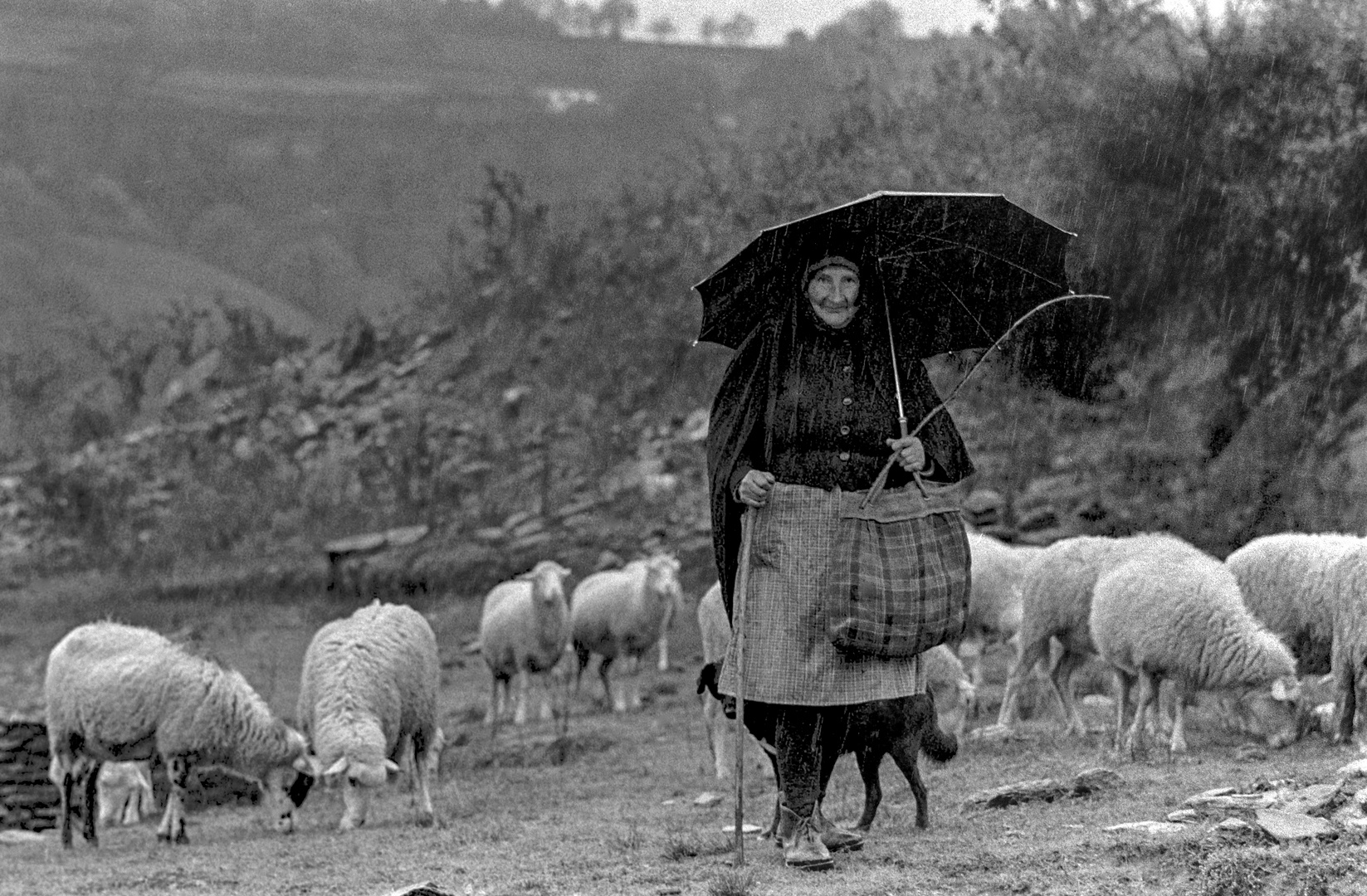 PASTORA BAJO LA LLUVIA