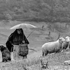 PASTORA BAJO LA LUVIA 2