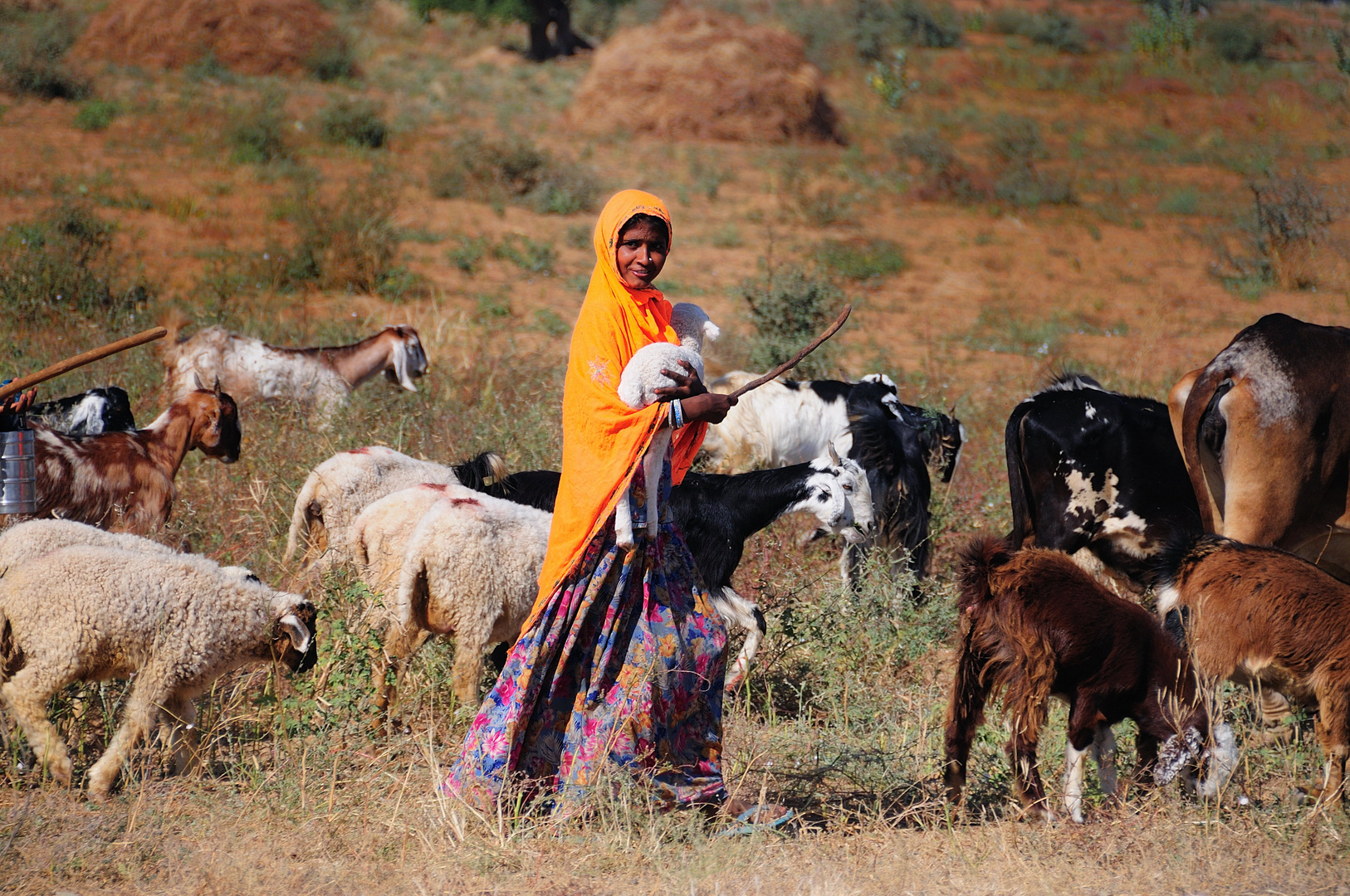 Pastora en India