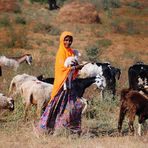 Pastora en India