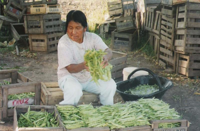 Pastora y la chaucha