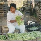 Pastora y la chaucha